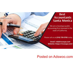 The Best Accountants in Santa Monica, CA - Ricco cpa