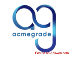 Acmegrade internship programs