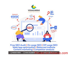SEO Company Coimbatore - Visual Birds