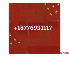 Contact QuickBooks for phone support, one can either dial the toll-free number +18776931117