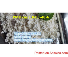 pmk cas13605-48-6