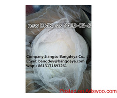 BMK CAS 5413-05-8
