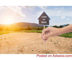 Best real estate agents Geelong