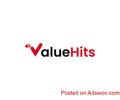 Hire an SMO Expert in India | Valuehits