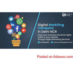 Digital Marketing Company in Delhi NCR
