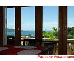 Find the luxury hotel for sale Patong beach at a reduced price of 125 million Baht