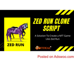 Create Your Own Digital Horse Racing Game Like Zed Run - Zed Run Clone Script