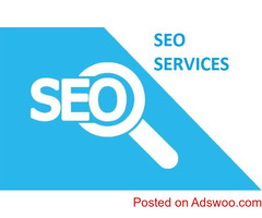 Best SEO Company in Noida Delhi NCR India - TechPAPA Technology