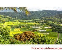 Financial Planning in Hawaii