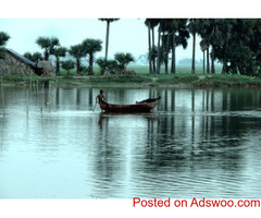 City Trip arranger of Kolkata
