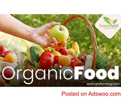 Organic Fruits and Vegetables in Delhi