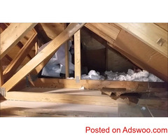 Attic Cleanouts Services in Solano County