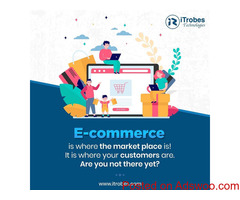 Excellent eCommerce Website Development Services - iTrobes