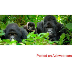 Rwanda Tourism
