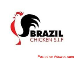 Is it a good idea to buy frozen chicken online?