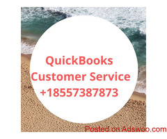 QuickBooks Customer Service: Acquire best possible services for QuickBooks