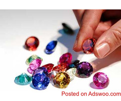 Astrologer in Birbhum