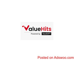 ValueHits ROI-Focused PPC Services in India