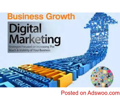 Digital Marketing Agencies Delhi NCR