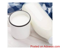 Organic Cow Milk Gurgaon