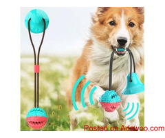 Tug-of-Floor Dog Toy