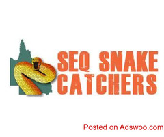 SEQ Snake Catchers