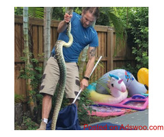 SEQ Snake Catchers
