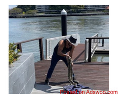 SEQ Snake Catchers