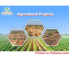 Agricultural property for sale |Trinetra Devel