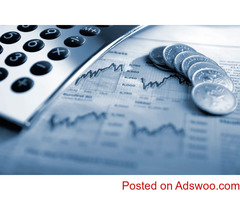 Foreign Investor looking for business opportunities