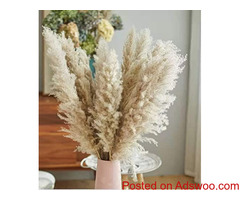 Fashionable Pampas Decorative Flowers for Modern Home.