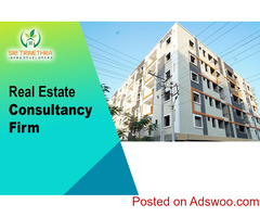 REAL ESTATE CONSULTANCY FIRM TRINETRA
