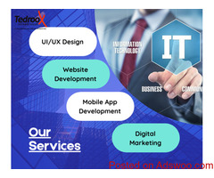 Website Development Services