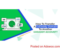 How To Transfer The GoDaddy Domain To Another GoDaddy Account?