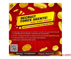 RECRUIT FOREX AGENTS