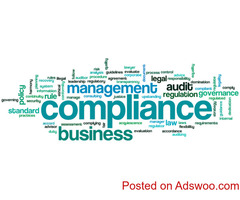 Company Establishment Consultants in India
