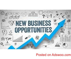 Financial and Business advisory Services