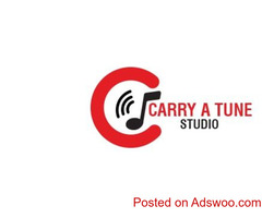 Pitch correction online -Carry A Tune Studio