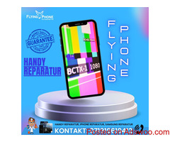 IPHONE 12 PRO MAX REPARATUR