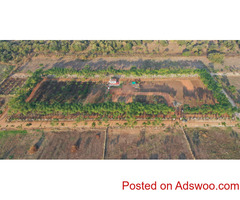 Farm Land And Farm Houses For Sale in Hyderabad By Sri Trinethra Infra Developer