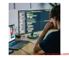 Give Your Business Professional Look With Website Development