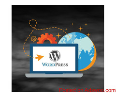 Professional and Low-cost WordPress Development in USA