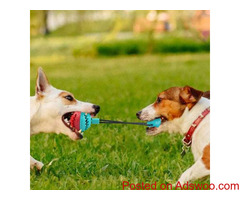 Tug-of-Floor Toy For Your Dogs