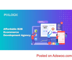 Affordable B2B Ecommerce Development Agency