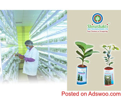 Best Plant Growth Regulator By Shivashakti Bio Technologies