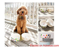 Boavista Pet Bowl