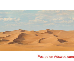 Desert Safari in Dubai, UAE