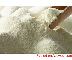 New Arrival High Quality Camel Powder Milk