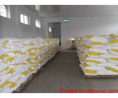 New Arrival High Quality Camel Powder Milk