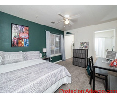 Book Student accommodation in Raleigh with lots of Facilities